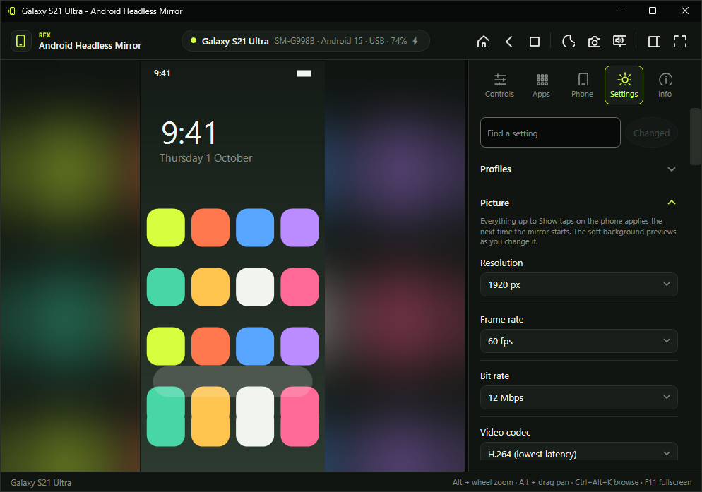 The Settings tab with the Picture group open.
